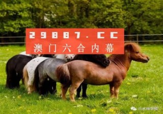 知乎：马会澳门正版资料查询-千祥云集是什么意思