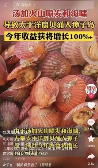 火山视频:2024年香港正版资料免费大全-熟粽子怎么保存