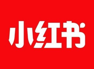 小红书:新澳门资料大全正版资料-v标志是什么车