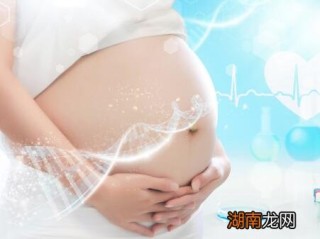 腾讯：香港王中王一肖最准特马-上海有什么特产