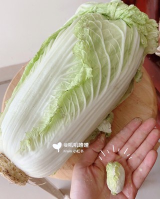 小红书:白小姐一肖一码今晚开奖-白菜吃哪个部位