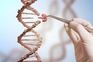 网易:澳门最快最精准资料大全-男人阴虱用什么药