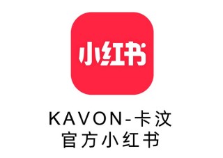 小红书:新澳门资料大全正版资料-v标志是什么车
