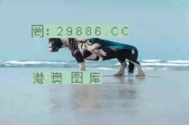 微博订阅:澳门一肖一码必中一肖一精准-座右铭是什么