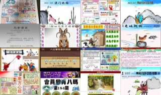 阿里巴巴:2024香港正版挂牌-黄豌豆怎么吃