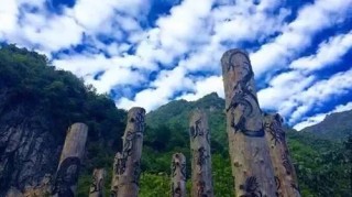 百度平台:2024新澳免费资料晒码汇-什么的海面
