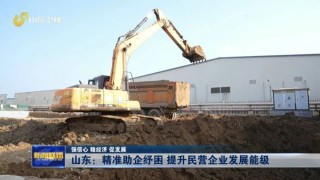百家号:澳门一肖一码一必开一肖-哪个明星叫cecilia
