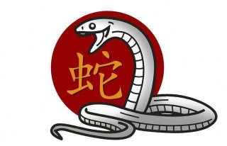 网易:2023澳门管家婆资料正版大全-属蛇跟什么属相最配对