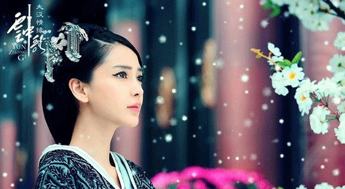 小红书:2024新澳正版免费资料大全-寡头是什么意思  第2张