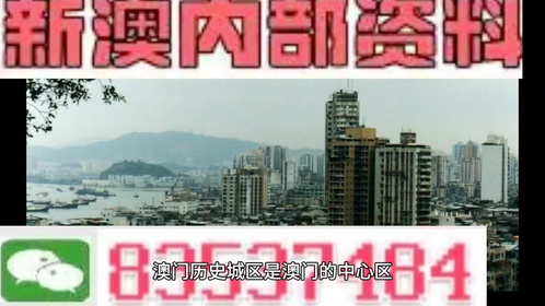 搜狐订阅：新澳门2024资料大全管家婆-王维有什么之称  第2张